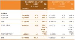 雅迪控股毛利率小幅承压：今年多轮抽检不合格，消费者投诉不少