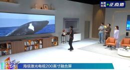 撒贝宁“新家”装可折叠激光电视，120英寸电视轻松入户