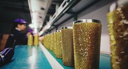 解密多多跨境，拼多多的海外征途