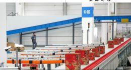 电商平台探索新增量，店播、垂类、采销“百花齐放”