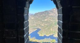 刘强东的野望与现实的偏离