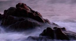 零跑困境仍难解