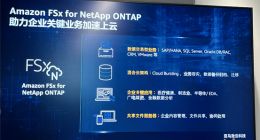 Amazon FSx for NetApp ONTAP存储服务中国区可用 提效文件存储云端部署