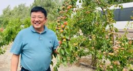 盒马困局：可以暂缓IPO，何以暂缓新零售？