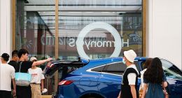 华为联盟，救急难救穷？