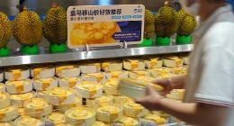 暂缓IPO，盒马“移山”还能成吗？