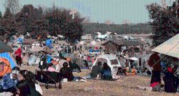 在上班和上进之间，年轻人选择了“上山”