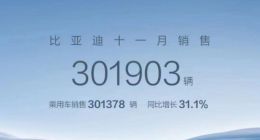 比亚迪11月销量30.19万辆，方程豹、仰望品牌迎来交付