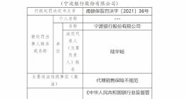 宁波银行年内股价跌幅超20% 董事长“超期服役”或有违监管要求