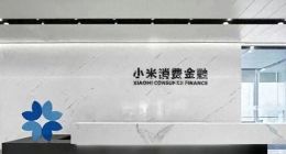 小米消费金融上半年陷亏损，旗下产品“随星借”成投诉“重灾区”