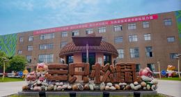 三只松鼠坚持的“高端性价比”，也是零食行业通往未来的门票？