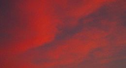 激进营销反被噬，狂飙下的小仙炖还能走多远？