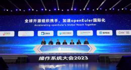 欧拉市场份额达36.8%，服务器操作系统市场份额第一