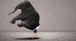 刘强东怒斥高管一年后，京东仍在“阵痛”期