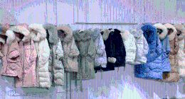 广东网友不再嘴硬，面对暴跌的气温，狂买“保命装备”