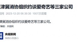 京津冀消协组织约谈爱奇艺、京东等三家公司