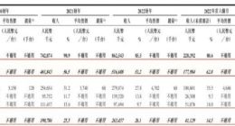AI风口下，“人形机器人第一股”优必选能起飞吗？