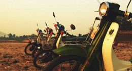 小牛电动车连续四季度亏损 国内产品上调价格引发销量遇冷