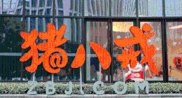 猪八戒的IPO征程：十三年波折前途未卜，面临多重困境