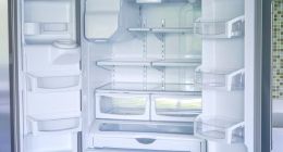 TCL白电：梦想远大，现实骨感？