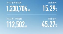 长城汽车2023年销量123.07万辆，新能源同比翻倍