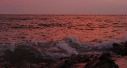 新能源格局初定，岚图还有机会吗？