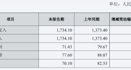 长城汽车增收不增利