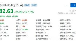 股价大跌12% 特斯拉市值一夜蒸发5743亿元