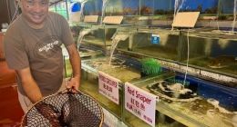 新马泰全免签！支付宝“接龙”全球出行购物优惠