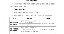 比亚迪：2023年预计净利润290亿元-310亿元