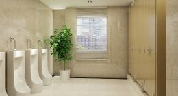 九牧：打造全球厕所革命与可持续发展的中国样板