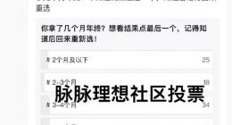 李想：不能只学华为的流程 而不学华为的利益分配
