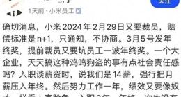小米汽车被曝裁员，赔偿N+1，仔细看有点卸磨杀驴的意思