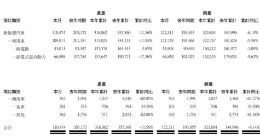 比亚迪新能源汽车2月份销售12.23万辆 出口超过2.3万辆