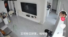 云鲸产品线单一：行业增速放缓时，如何与三大巨头竞赛？