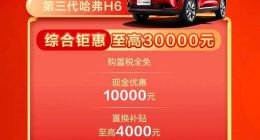 哈弗降价：既玩不起，又输不起