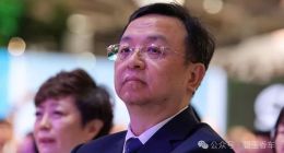 王传福压力重重？比亚迪连续两个月销量暴跌