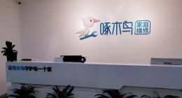 抽佣近40%，啄木鸟冲刺IPO靠吸血工程师？