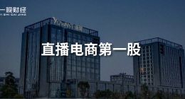 谢如栋和遥望科技的套现游戏 直播电商的资本警钟