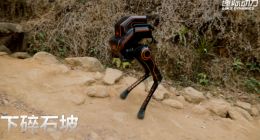 走山路、爬草坡、抗踢踹……稳！逐际动力双足机器人P1深圳野外徒步