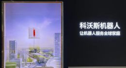 科沃斯必须回答这三个要命问题