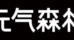 前后不一的唐彬森，回归平庸的元气森林