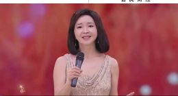 Sora抢不了谁的饭碗？