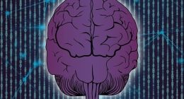 脑机接口首位受试者用意念在X上发帖！马斯克转发回应