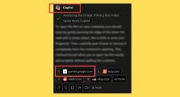 网友反馈微软Copilot 引用谷歌Gemini 内容，点击链接无法跳转指定内容页面