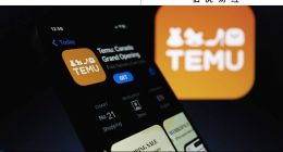 Temu重写规则，中国制造再上全球牌桌