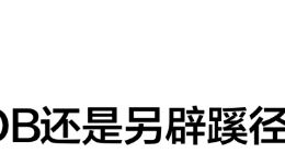 飞书裁员，谢欣们的苦日子还在后头