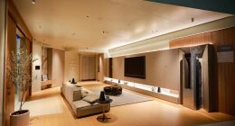 三翼鸟：创牌仅3年，2023场景交易额超51亿