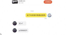 涉嫌欺诈！闲鱼商家售卖被法院查封的车辆 多次投诉店铺仍正常运营