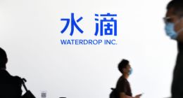 归母净利润下降72.53%，临床“小白鼠”成水滴公司第二增长曲线